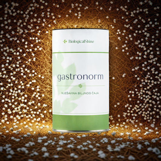 Gastronorm Low Price