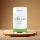 Gastronorm Low Price