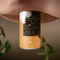 Mikotea