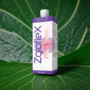 Zgloflex Half price