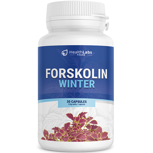 Forskolin Winter